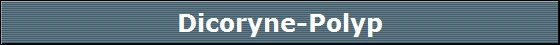 Dicoryne-Polyp