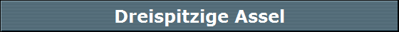 Dreispitzige Assel
