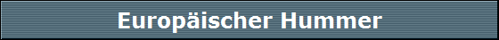 Europ�ischer Hummer