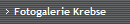 Fotogalerie Krebse