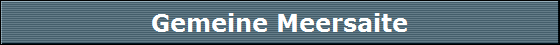 Gemeine Meersaite