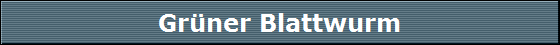 Grner Blattwurm