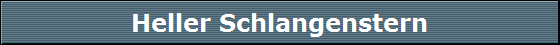 Heller Schlangenstern