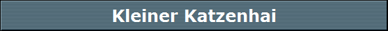 Kleiner Katzenhai