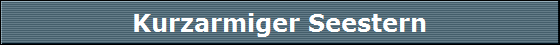 Kurzarmiger Seestern