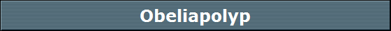 Obeliapolyp