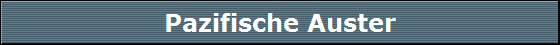 Pazifische Auster
