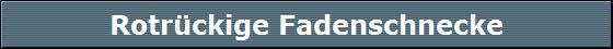 Rotr�ckige Fadenschnecke