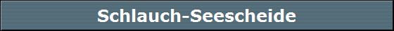 Schlauch-Seescheide