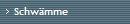 Schw�mme