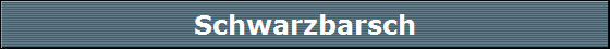 Schwarzbarsch