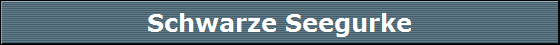 Schwarze Seegurke