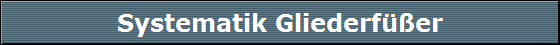 Systematik Gliederf��er