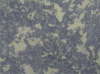 F�dige Blaualgen