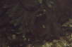 S�getang